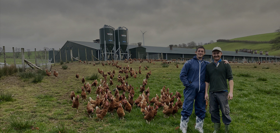 Rosehill Poultry | Homepage