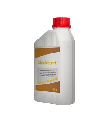 Rosehill Poultry | Products | Chickstart